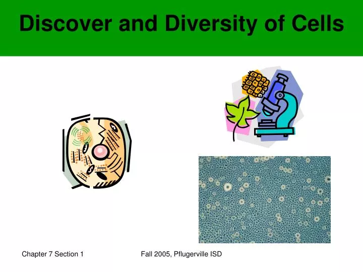 discover and diversity of cells