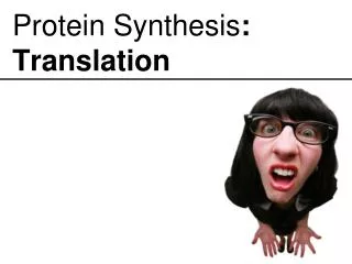 Protein Synthesis : Translation