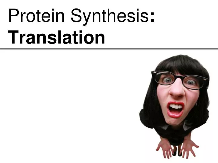 protein synthesis translation