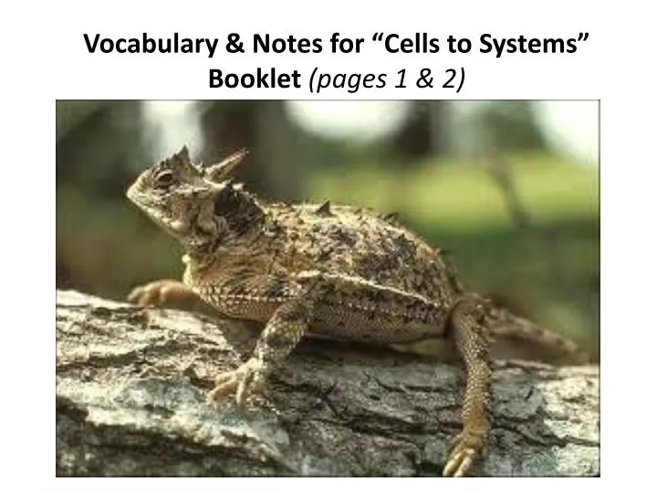 vocabulary notes for cells to systems booklet pages 1 2