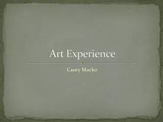 Art Experience
