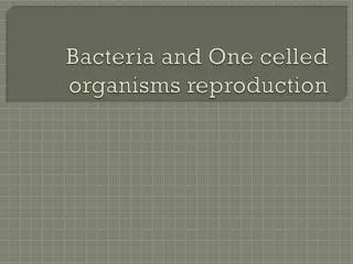Bacteria and One celled organisms reproduction