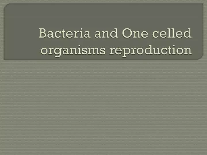 bacteria and one celled organisms reproduction