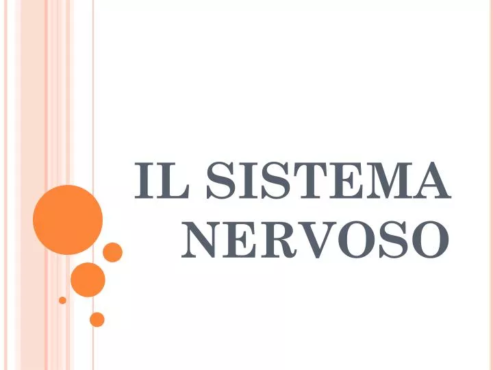 il sistema nervoso