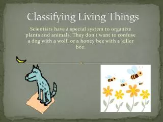 classifying living things