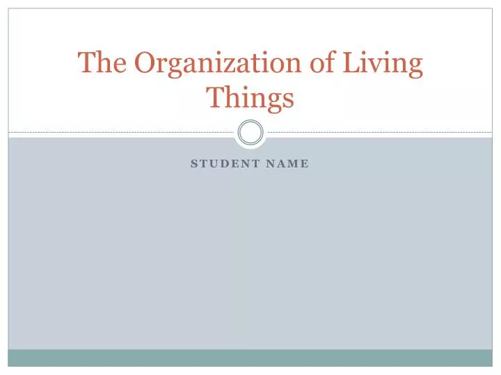 the organization of living things