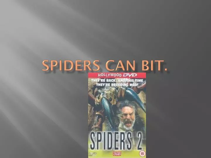 spiders can bit