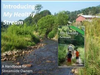 Introducing: My Healthy Stream