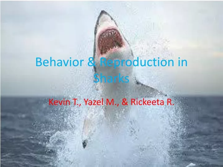 behavior reproduction in sharks