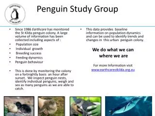 Penguin Study Group