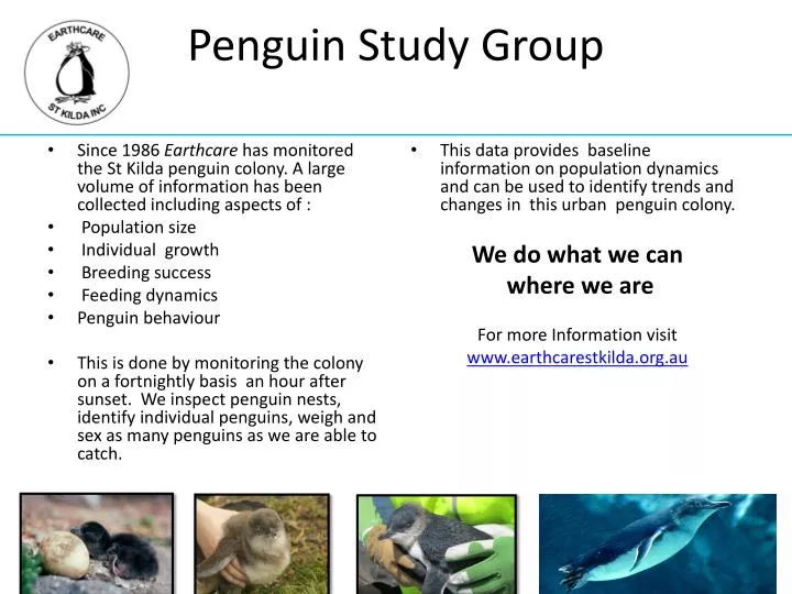 penguin study group