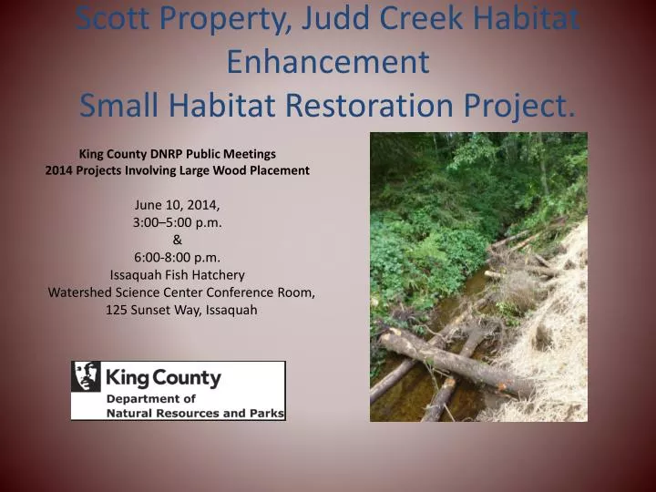 scott property judd creek habitat enhancement small habitat restoration project