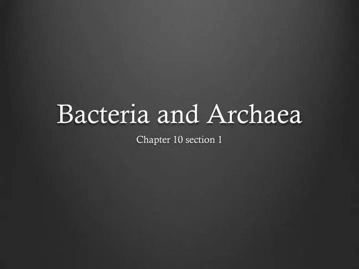 bacteria and archaea