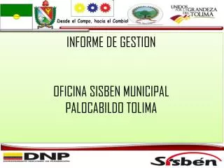 INFORME DE GESTION OFICINA SISBEN MUNICIPAL PALOCABILDO TOLIMA