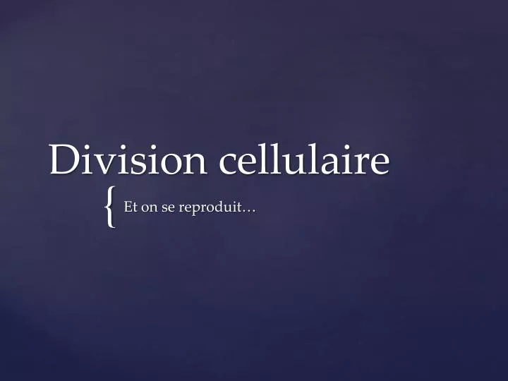 division cellulaire