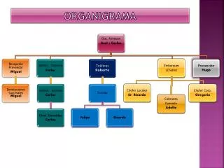 organigrama
