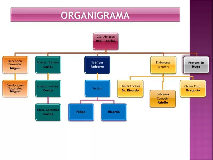 organigrama