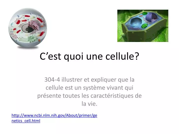 c est quoi une cellule