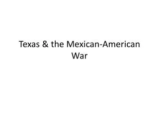 Texas &amp; the Mexican-American War