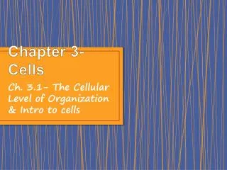 Chapter 3- Cells