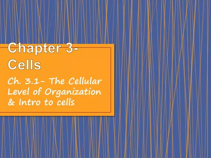chapter 3 cells