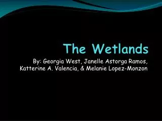 The Wetlands