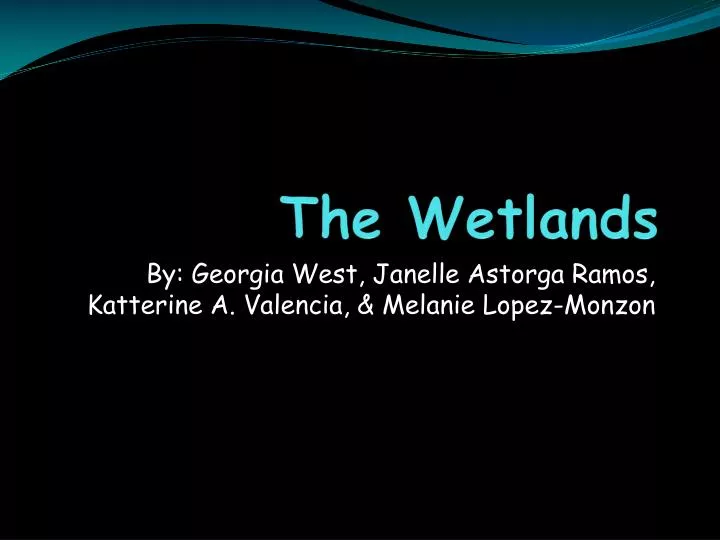 the wetlands