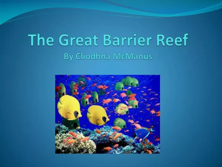 the great barrier reef by cliodhna mcmanus