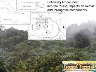 Following African dust into the forest; Impacts on rainfall and throughfall components