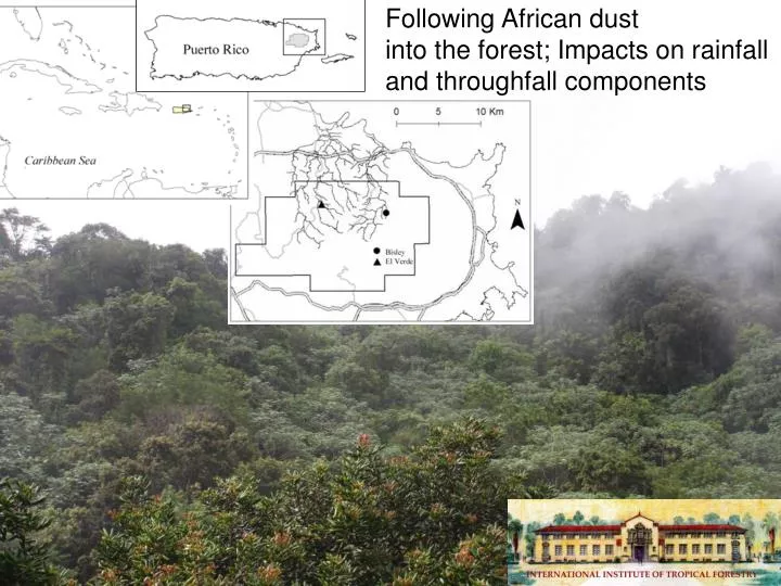 following african dust into the forest impacts on rainfall and throughfall components