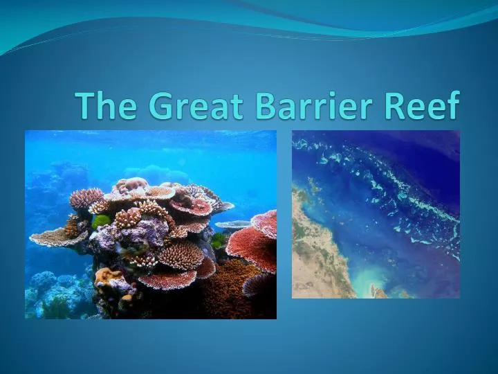 powerpoint presentation great barrier reef