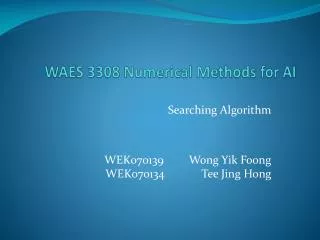 WAES 3308 Numerical Methods for AI