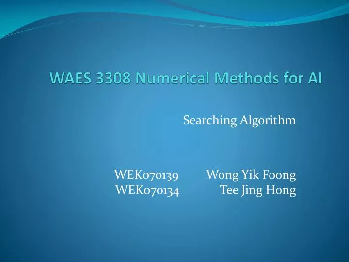 waes 3308 numerical methods for ai