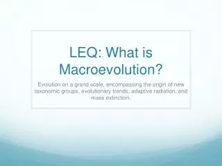 LEQ: What is Macroevolution?