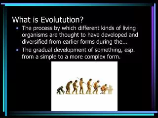 What is Evolutution?