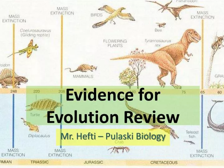 evidence for evolution review