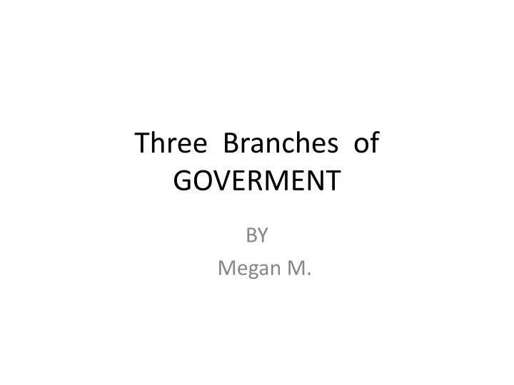 three branches of goverment