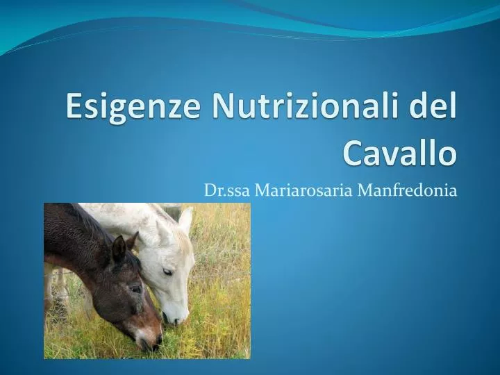 esigenze nutrizionali del cavallo