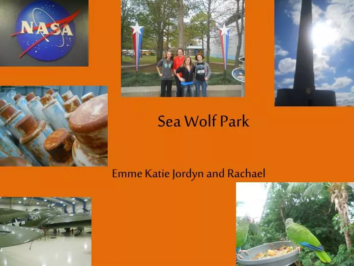 sea wolf park