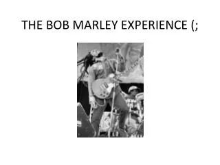 THE BOB MARLEY EXPERIENCE (;