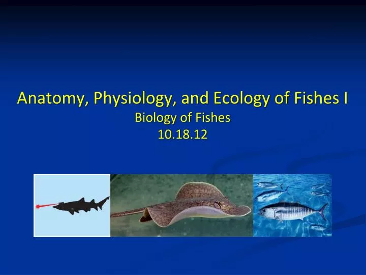 anatomy physiology and ecology of fishes i biology of fishes 10 18 12
