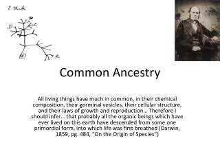 Common Ancestry
