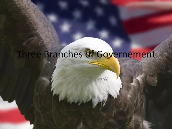 three branches of g overnement