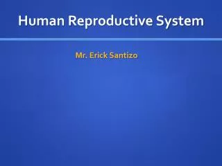 Human Reproductive System