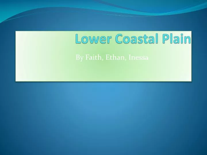 lower coastal plain