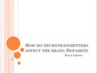 How do neurotransmitters affect the brain : Dopamine