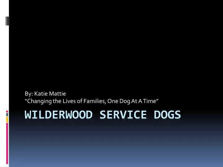 by katie mattie changing the lives of families one dog at a time