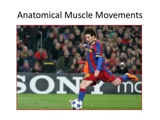 Anatomical Muscle Movements