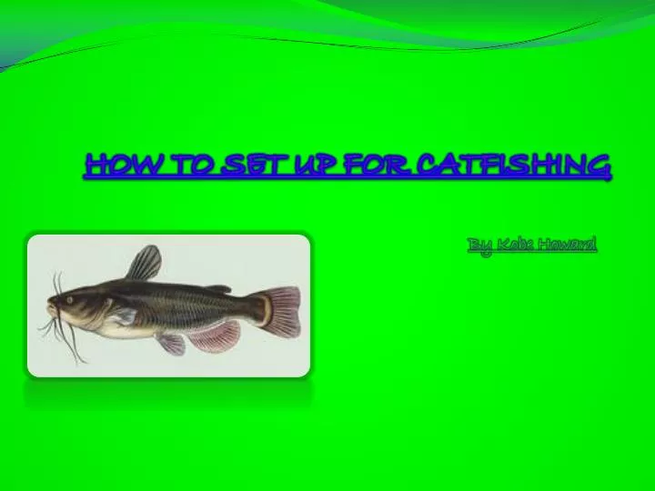 how to set up for catfishing