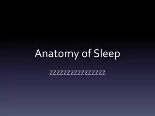 Anatomy of Sleep